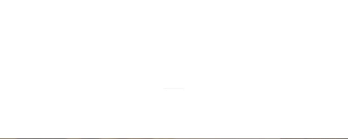 INVESTMENT PROCESS