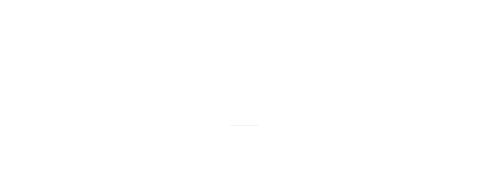 CORPORATE HISTORY